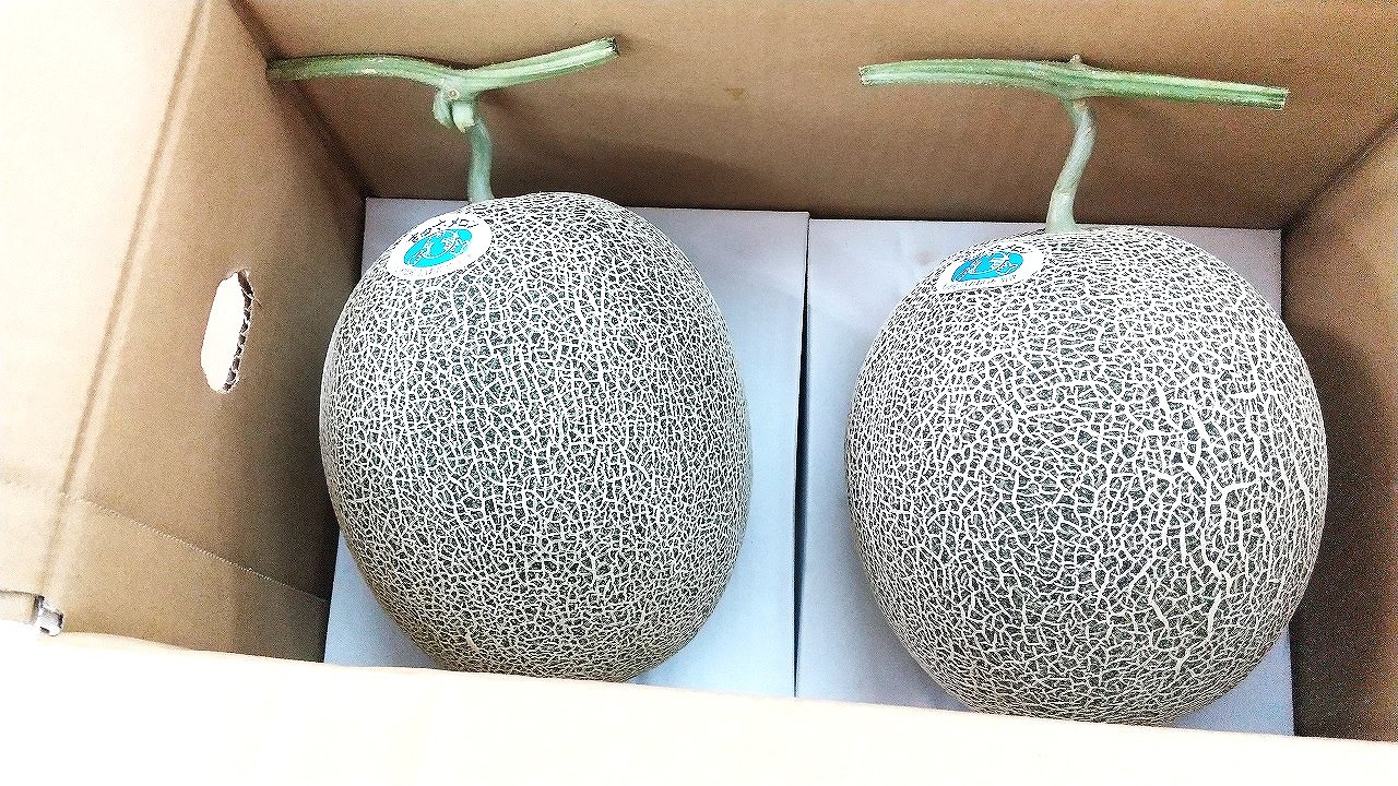 メロンL箱入
